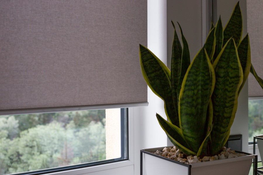 A close-up of a modern indoor window with gray roller shades partially drawn, next to a healthy plant in a white planter, with a blurred view of green trees outside.